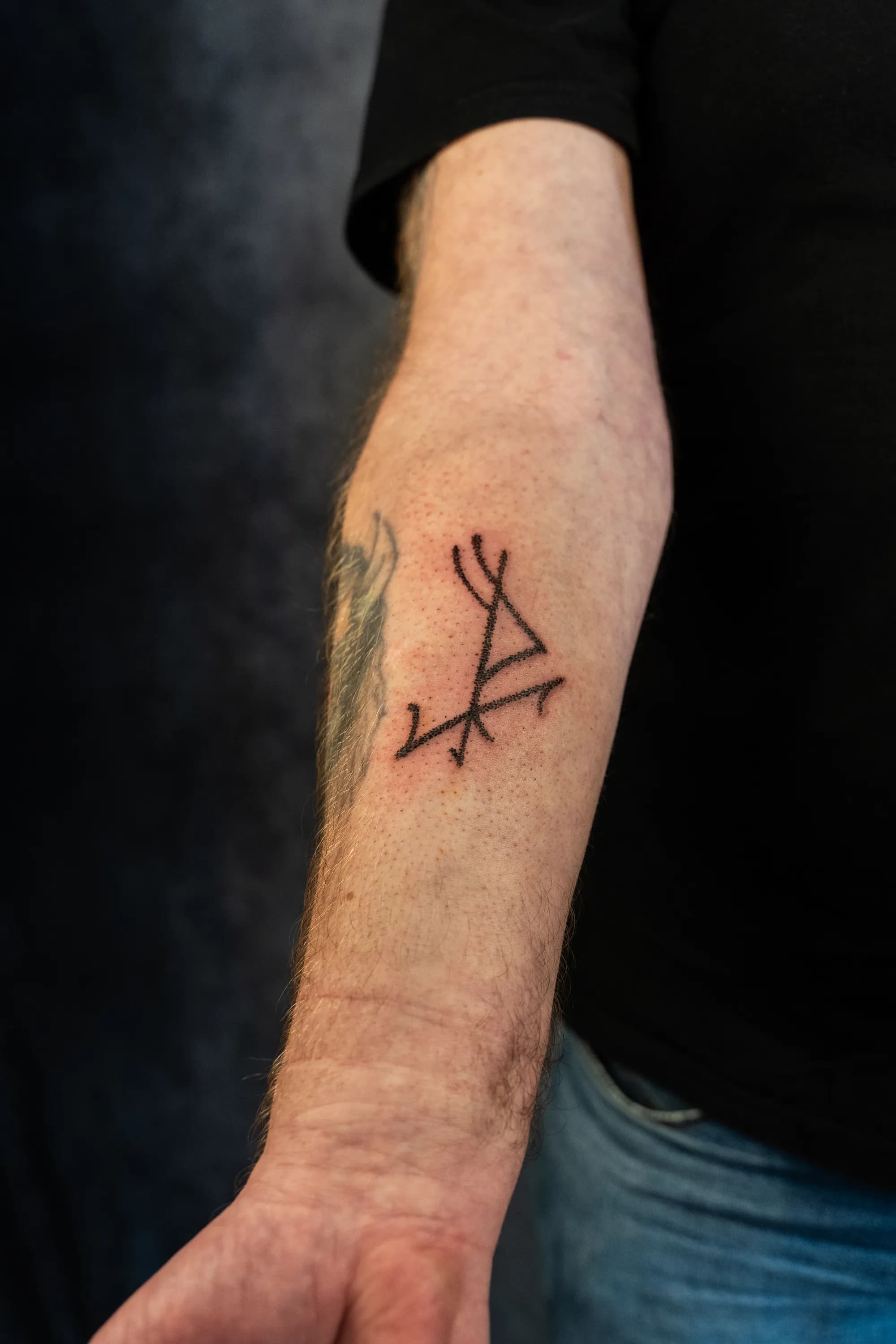 Jorvik Tattoo Moot 104