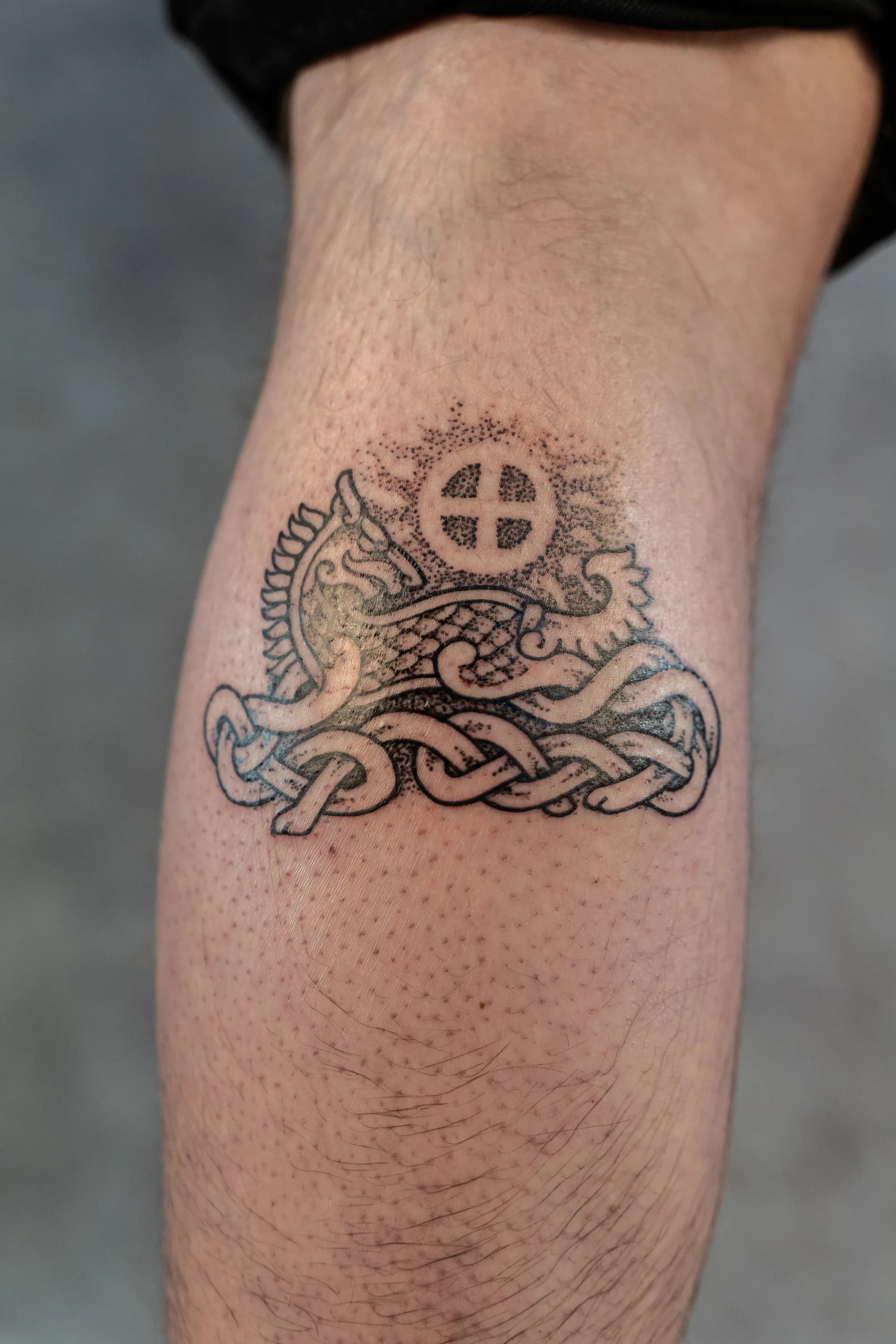 Jorvik Tattoo Moot 106