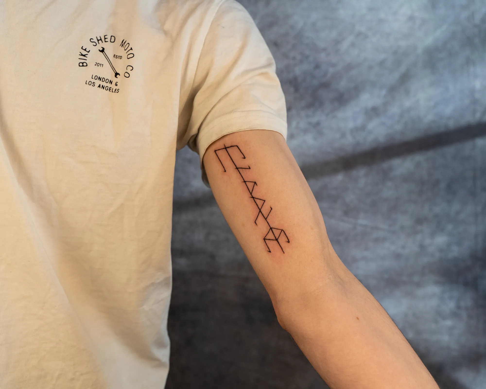 Jorvik Tattoo Moot 111