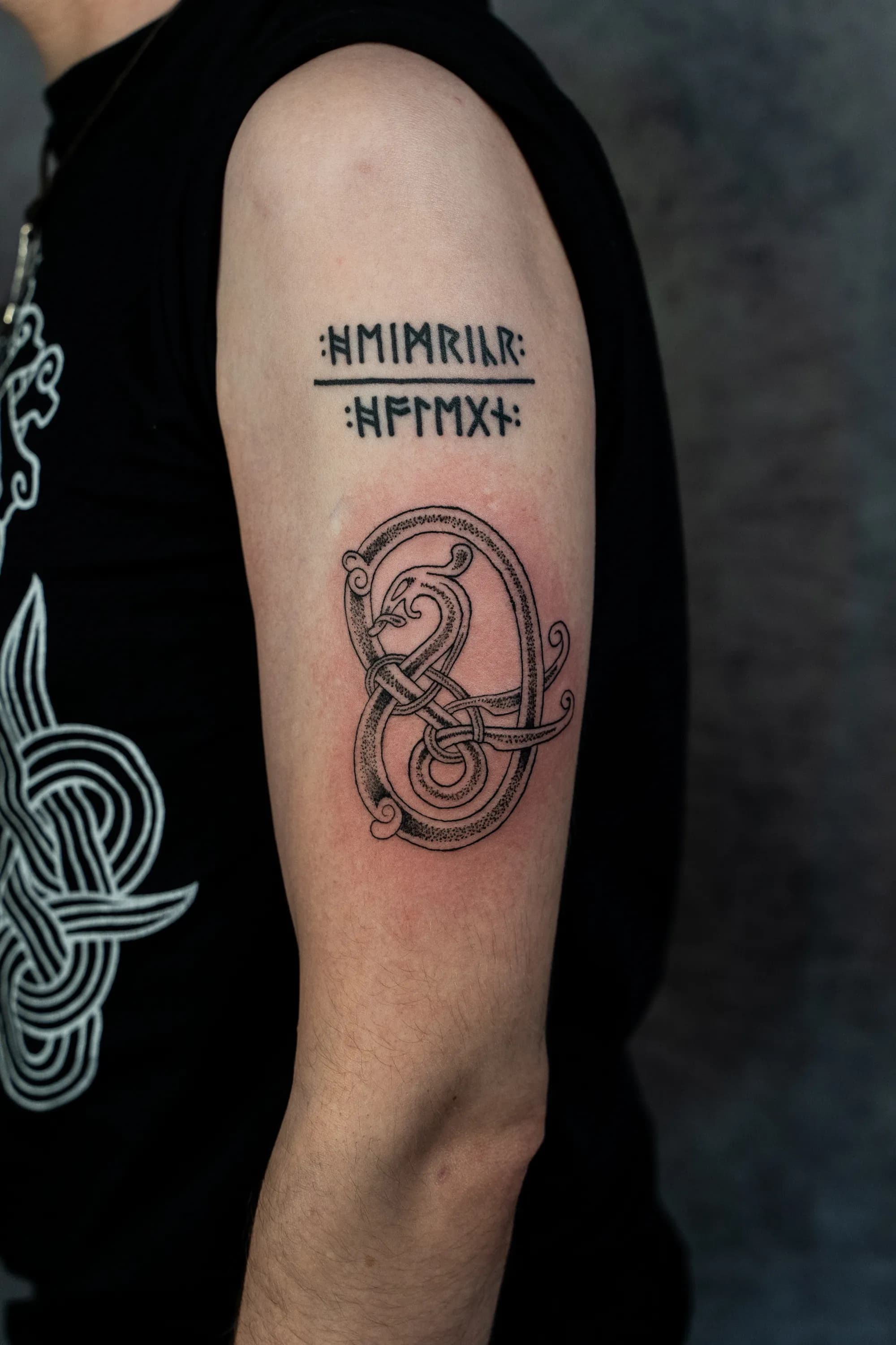 Jorvik Tattoo Moot 113