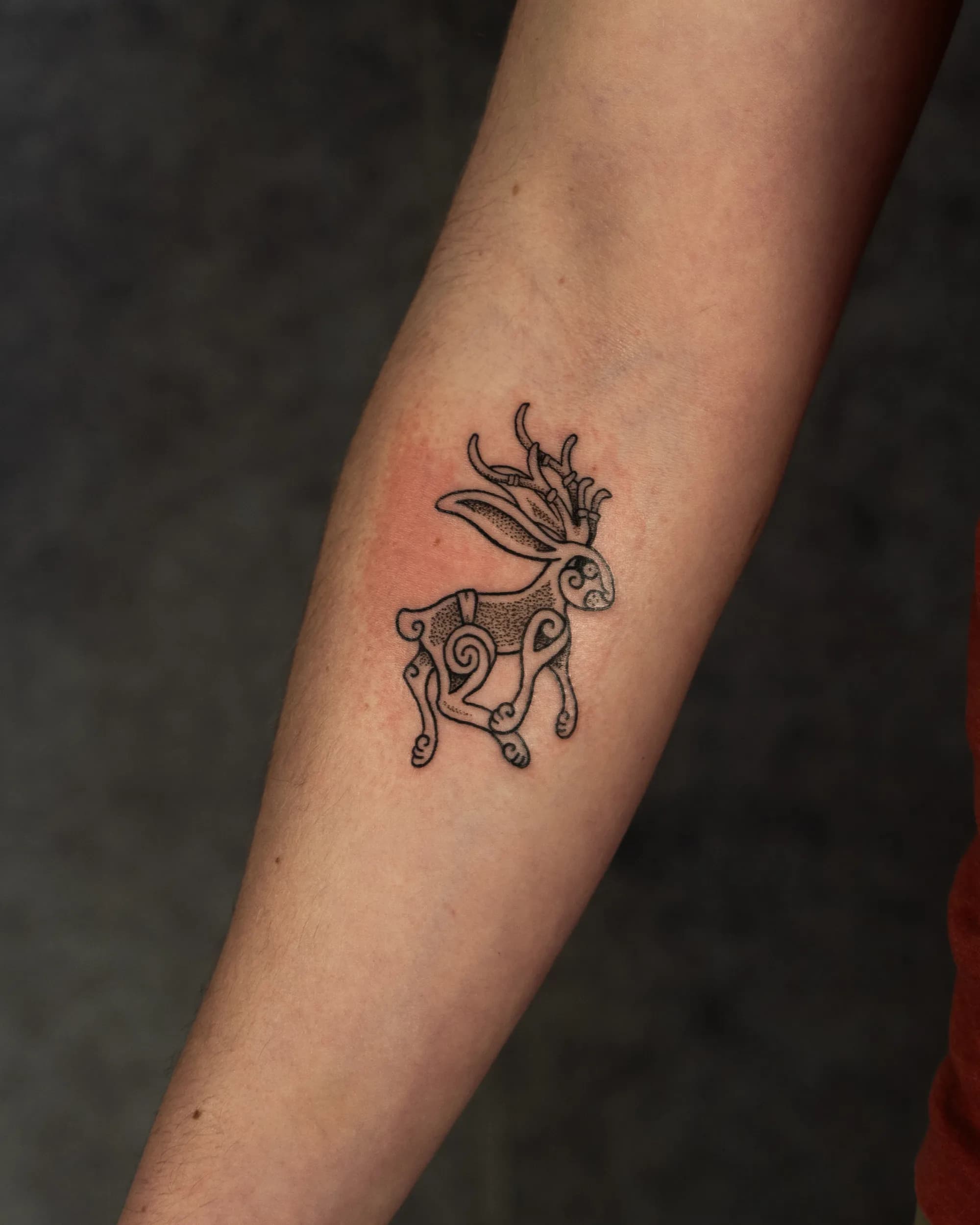 Jorvik Tattoo Moot 147
