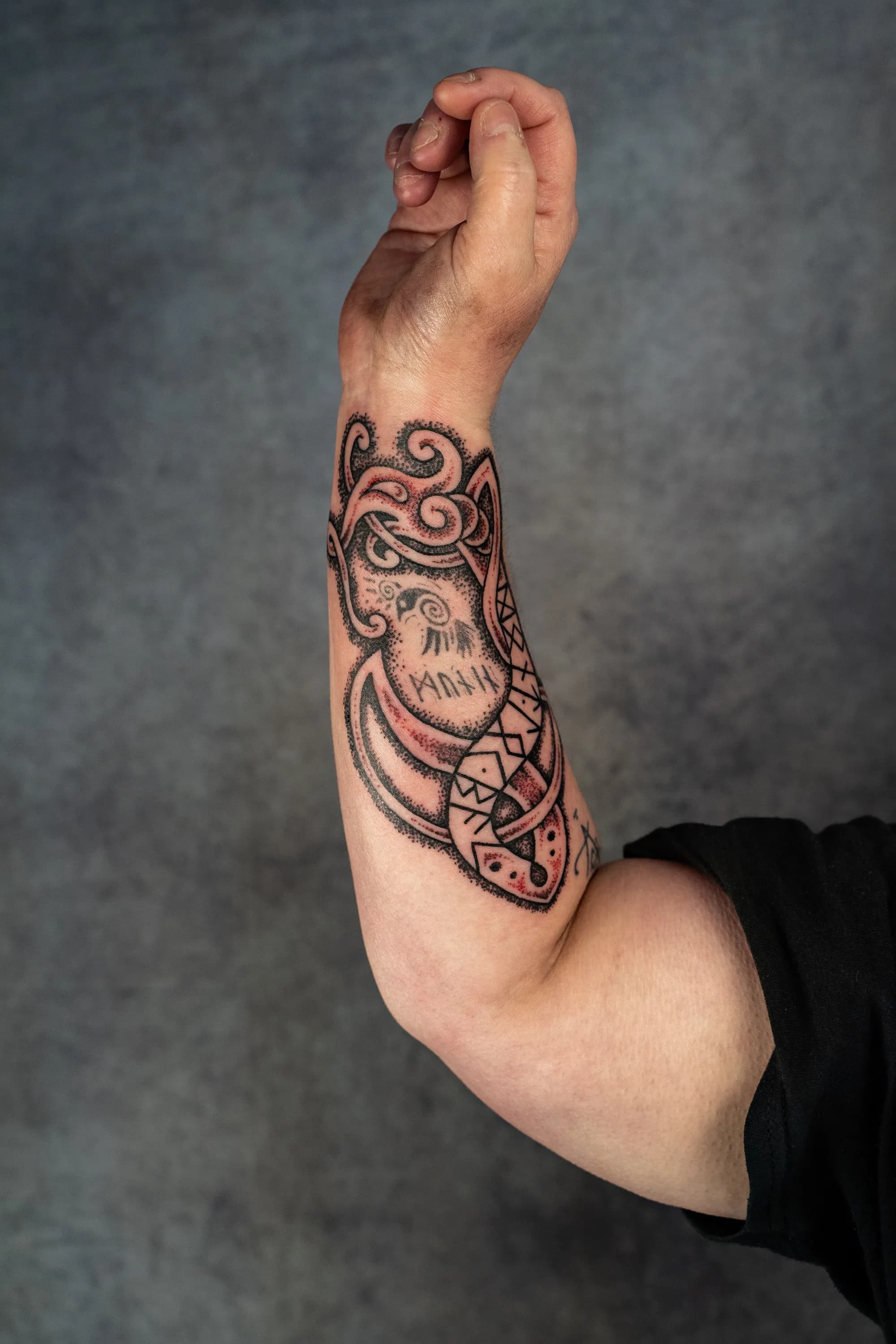 Jorvik Tattoo Moot 155
