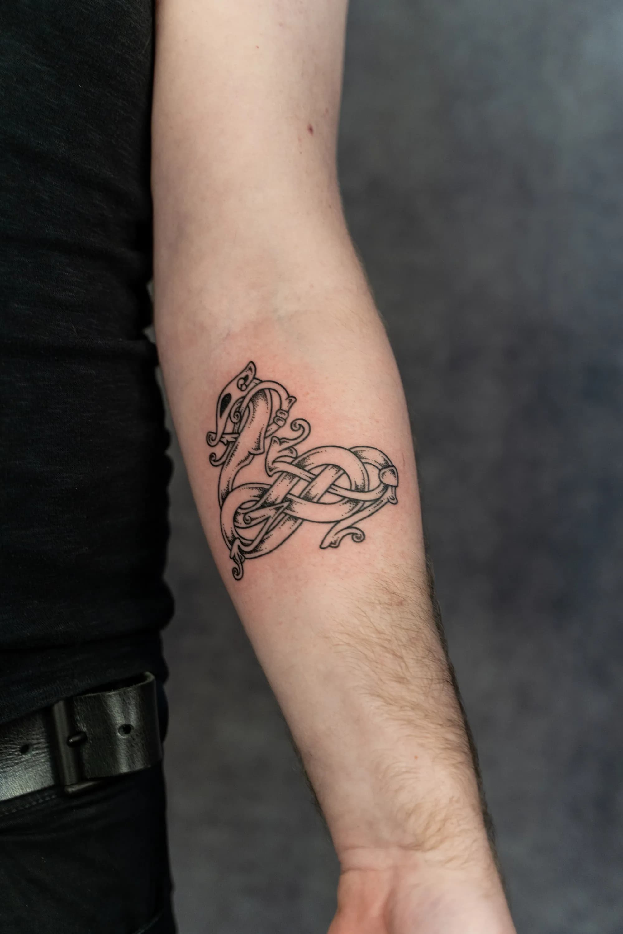 Jorvik Tattoo Moot 163