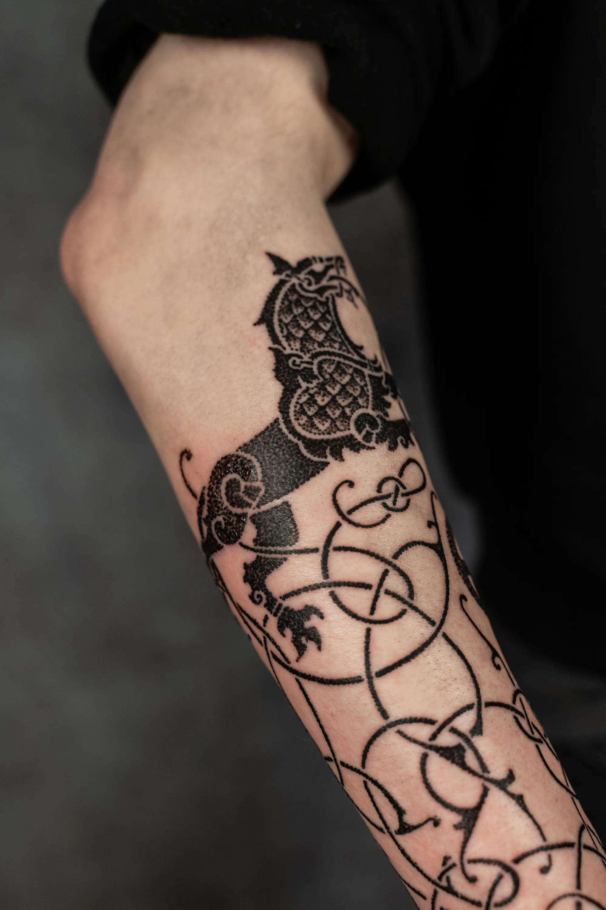 Jorvik Tattoo Moot 176