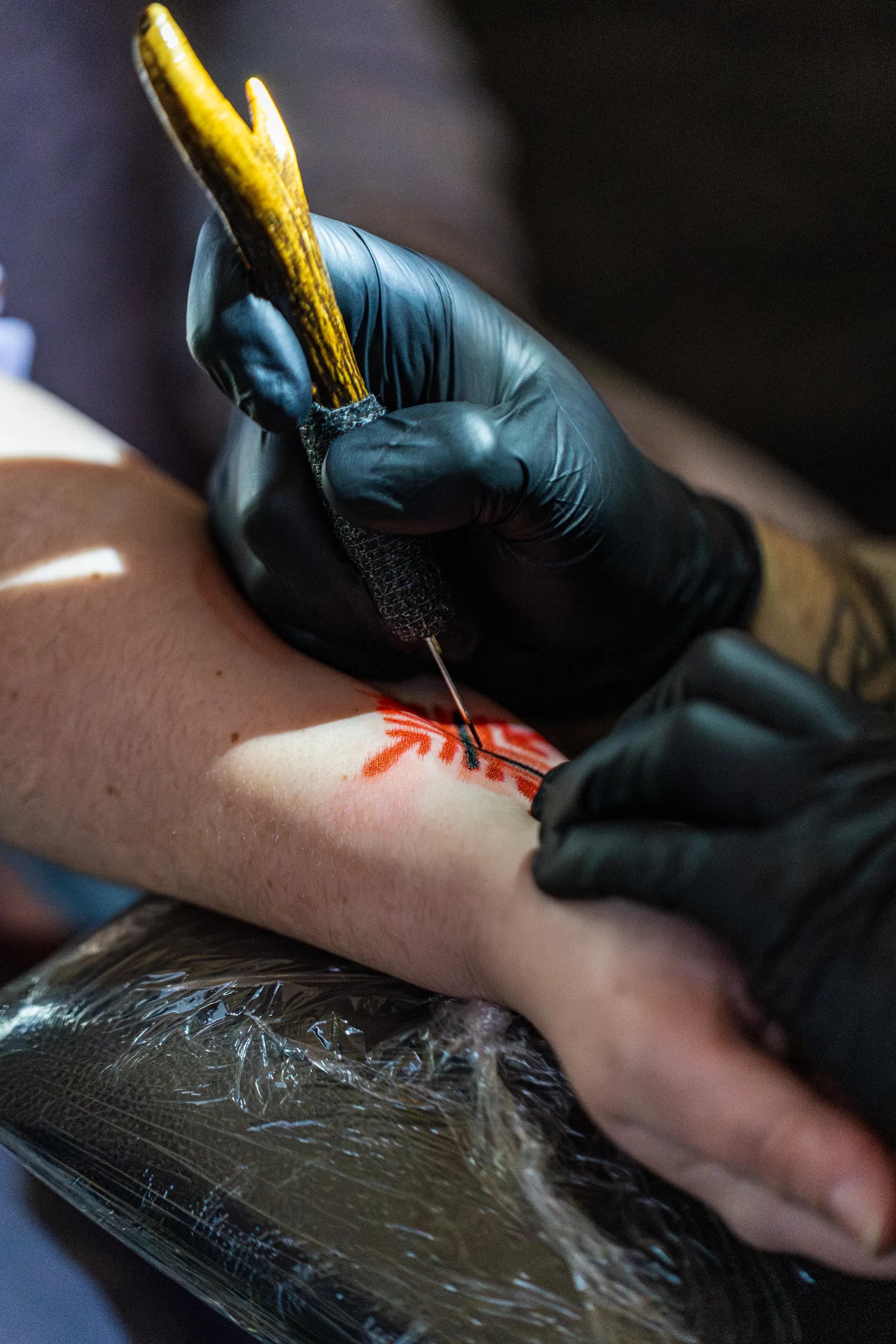 Jorvik Tattoo Moot 245
